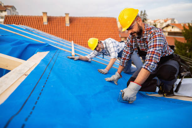 Quick and Trustworthy Emergency Roof Repair Services in Lakewood Park, FL