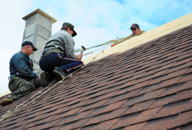 Best Storm Damage Roof Repair  in Lakewood Park, FL